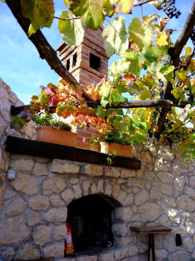 Secret Wellness Daire Bodonci Dış mekan fotoğraf